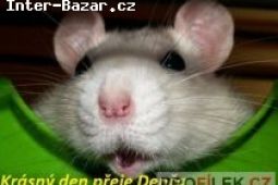 SLUŠNÝ PŘIVÝDĚLEK!!!